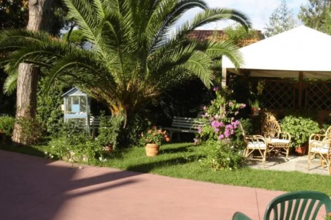 RSA Nuova Hit Versilia